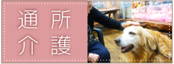 通所介護