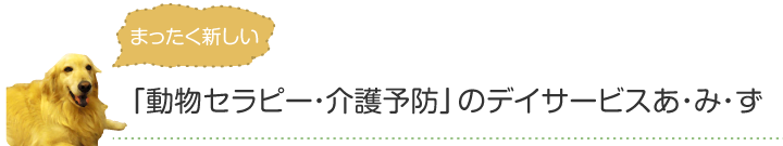まったく新しい「動物セラピー・介護予防」のデイサービスあ・み・ず